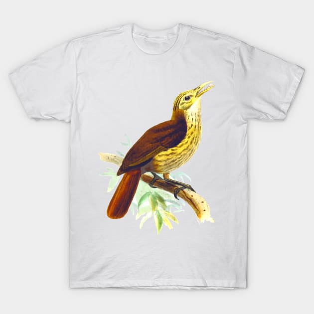 Cute birds #4 T-Shirt by LeonLedesma